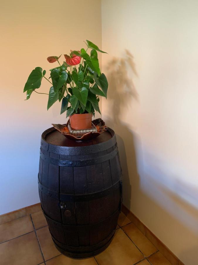 A Louer Appartement Dans Une Maison Arcangues Luaran gambar